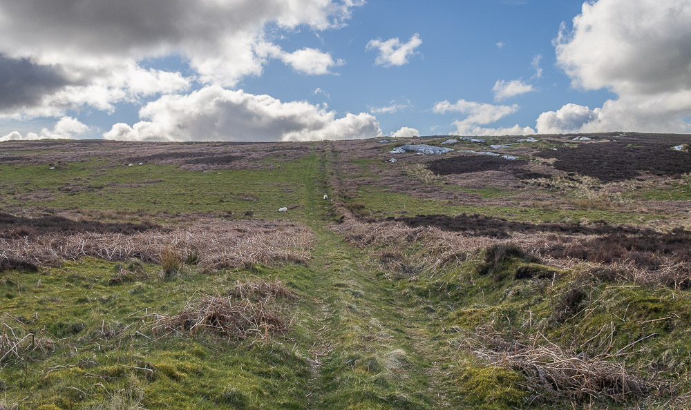 Birky Hill Birky Hill
